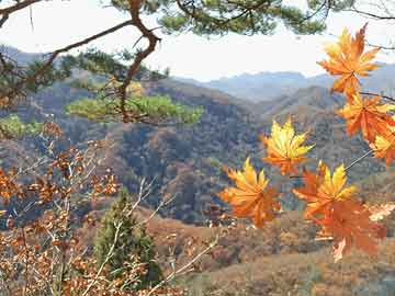 康桥悦岛最新动态揭秘，未来人居新篇章探索