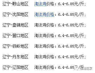 辽宁淘汰鸡最新价格动态解析